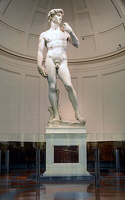 An image of Michelangelo's David