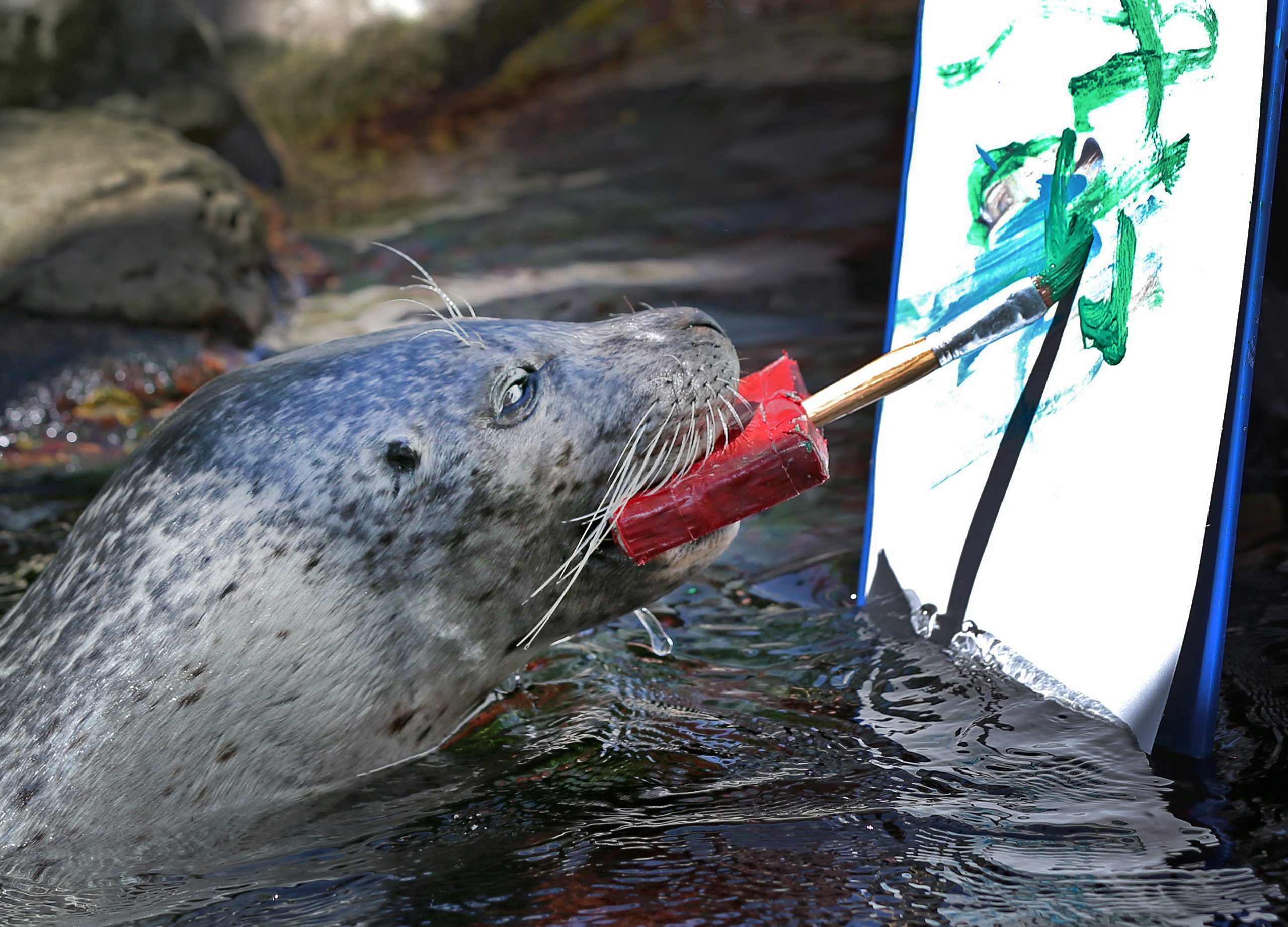 An image of a seal painting